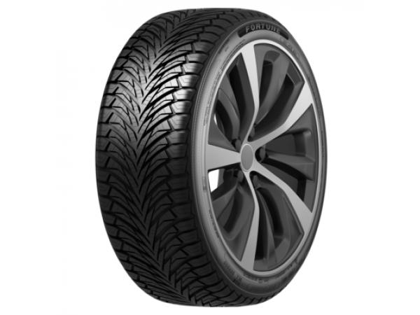 Fortune 165/65R14 79H Fitclime FSR-401 TL